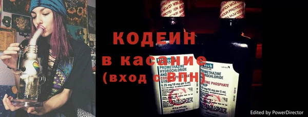 сатива Струнино