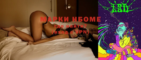 сатива Струнино