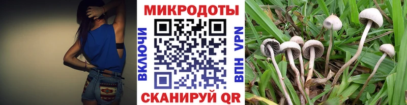 KRAKEN зеркало  Адыгейск  Псилоцибиновые грибы Psilocybe  наркотики 