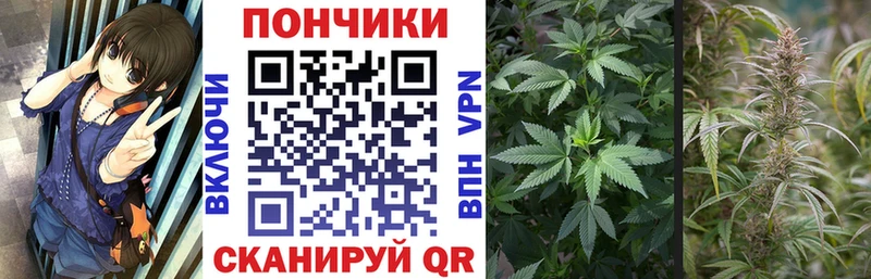 Бошки марихуана THC 21%  Адыгейск 